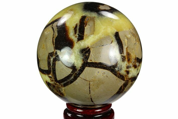 Polished Septarian Sphere - Madagascar #122927